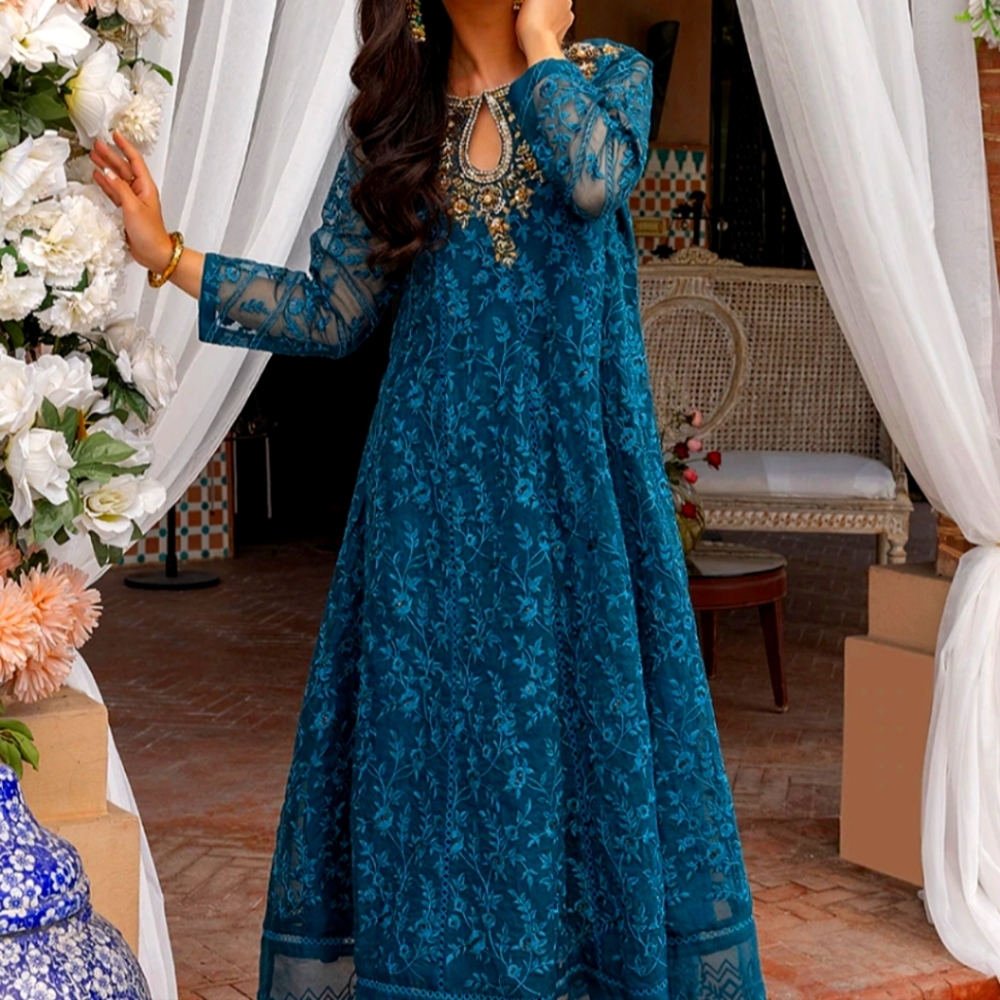 Pakistani 12 panel frock